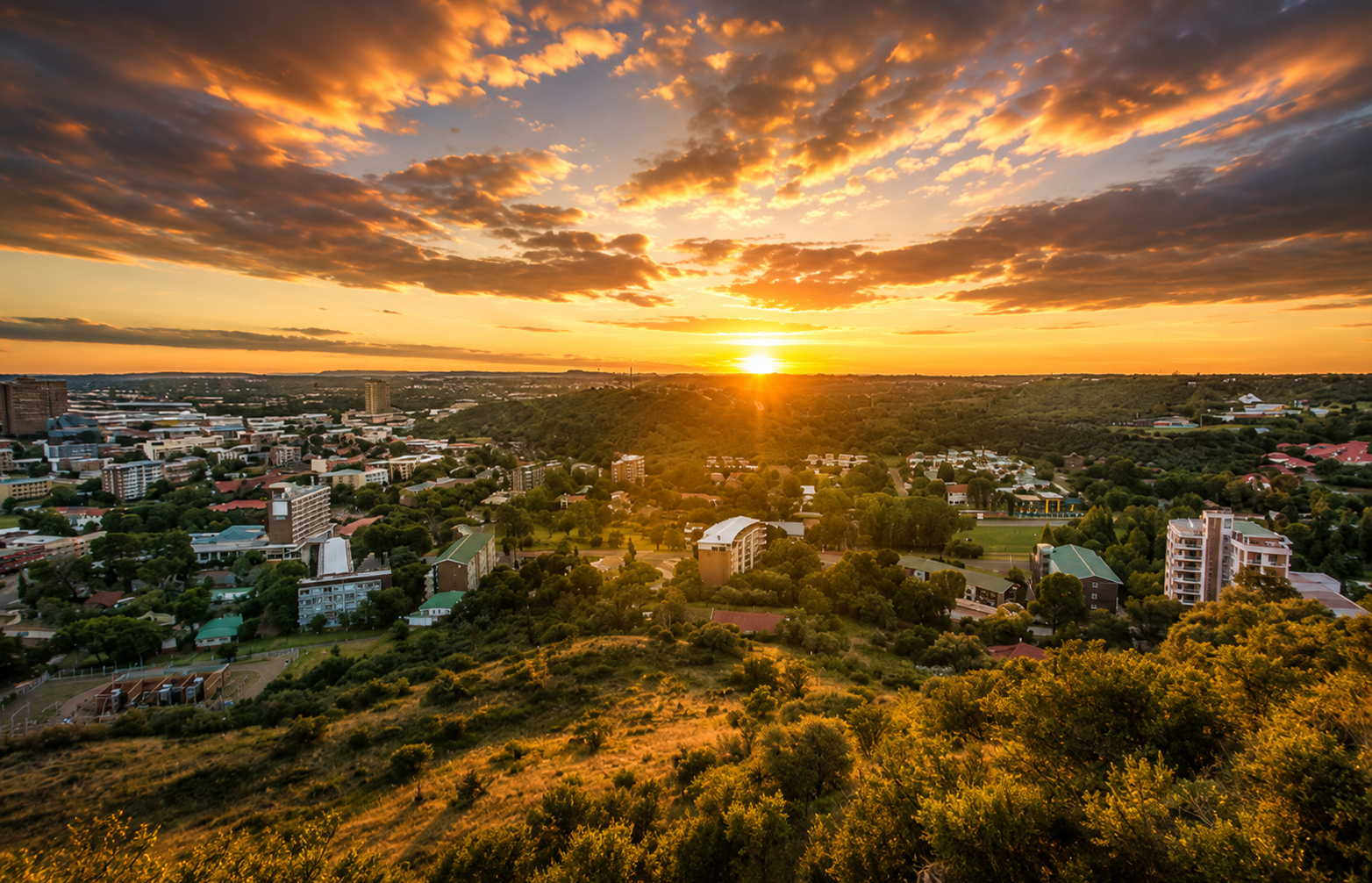 Medwell Gauteng