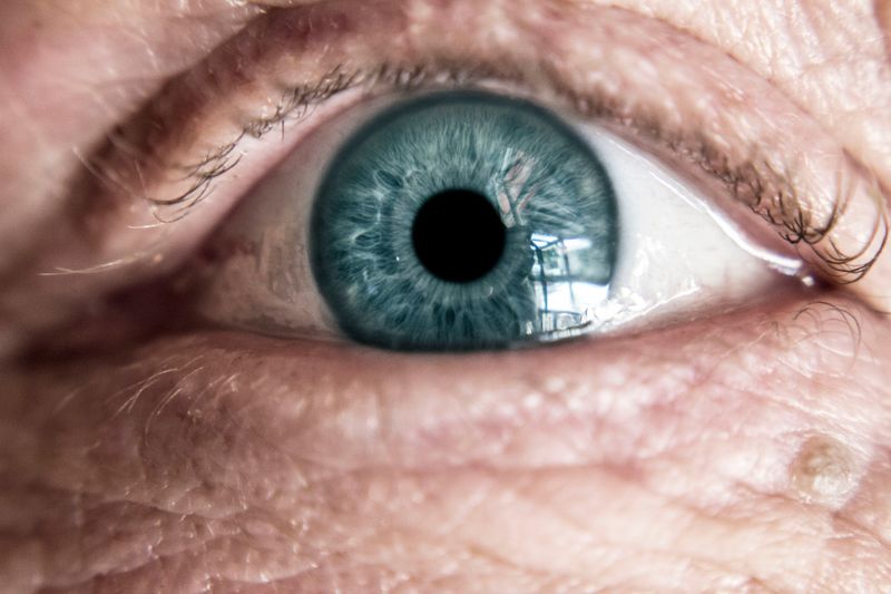 What you eat can affect your eyesight